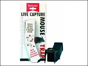 Rodent (trap & Bait)