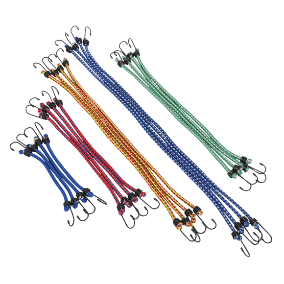 Sealey Elastic Cord Set 20pc Bcs20